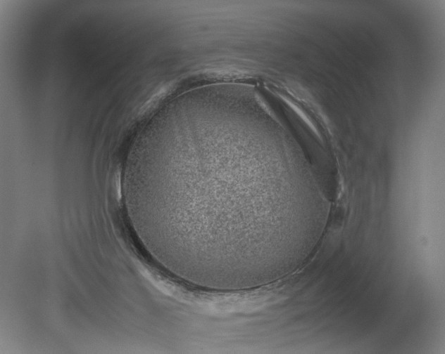 X0000078860021200611201325