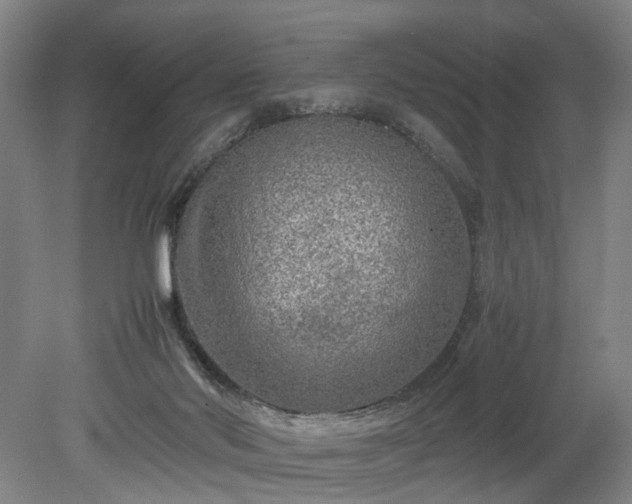 X0000078860022200611201325