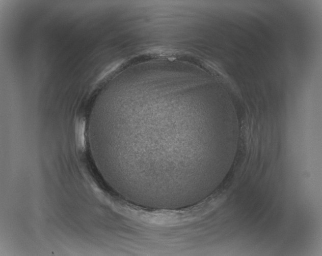 X0000078860024200611201325