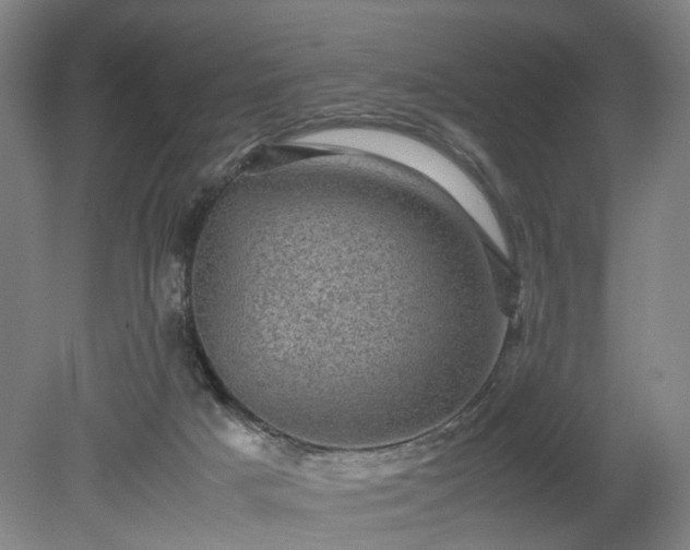 X0000078860025200611201325