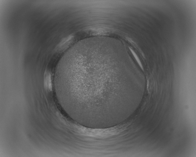 X0000078860026200611201325