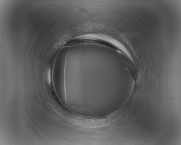 X0000078860027200611201325