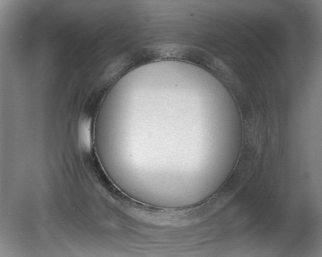 X0000078860028200611201325