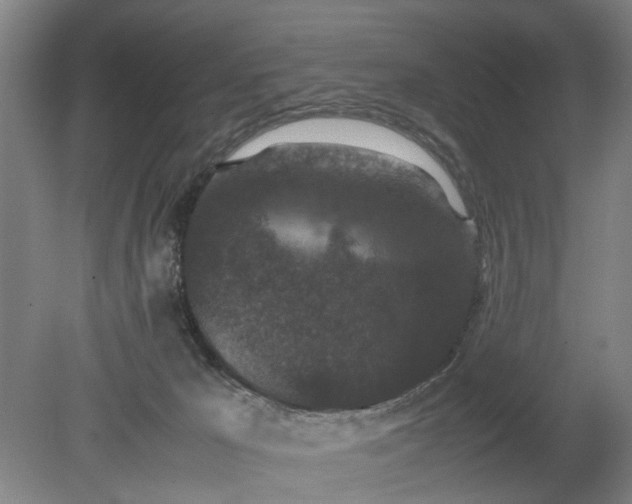 X0000078860029200611201325