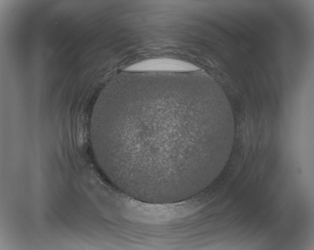 X0000078860030200611201325