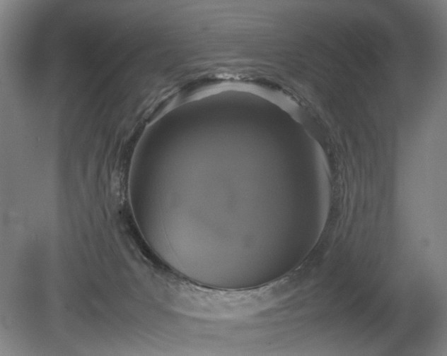 X0000078860031200611201325