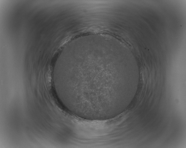 X0000078860032200611201325