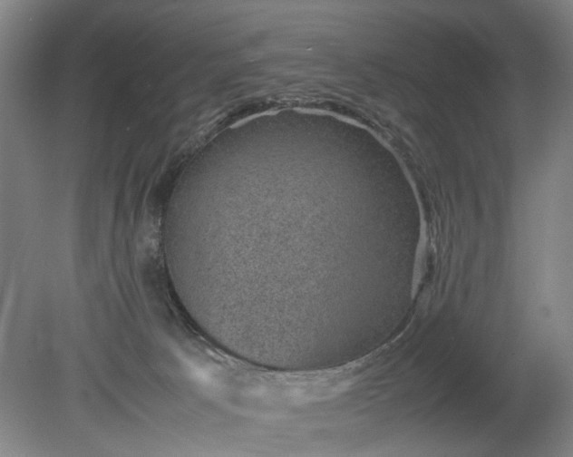 X0000078860033200611201325