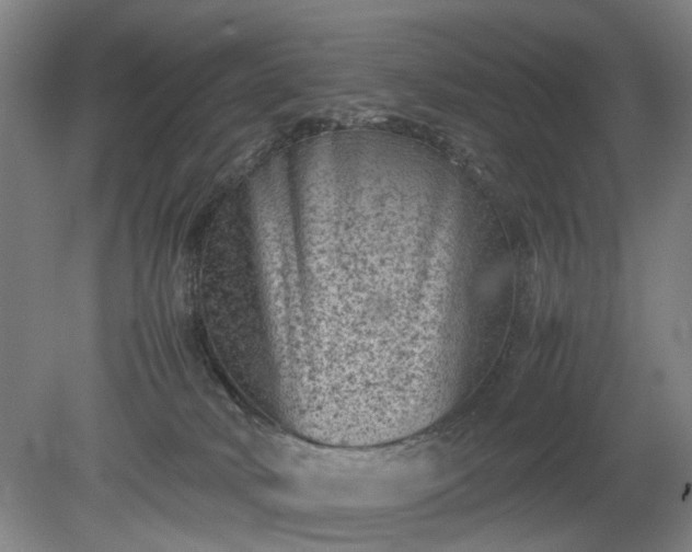 X0000078860034200611201325