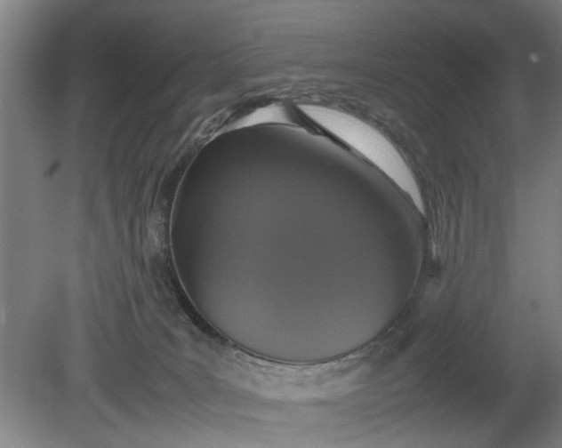 X0000078860035200611201325