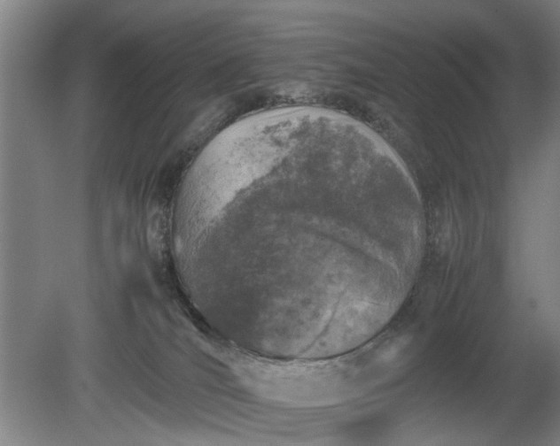 X0000078860036200611201325