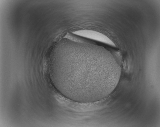 X0000078860037200611201325