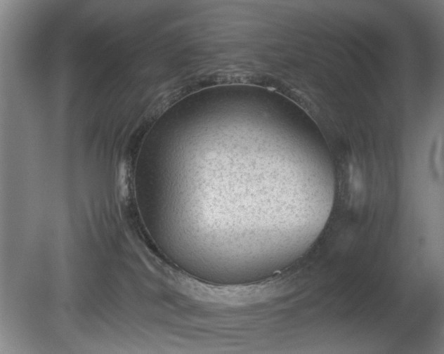 X0000078860038200611201325