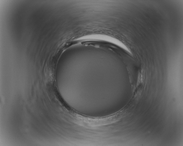 X0000078860039200611201325