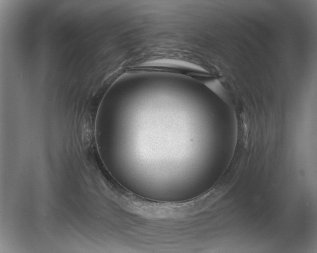 X0000078860040200611201325