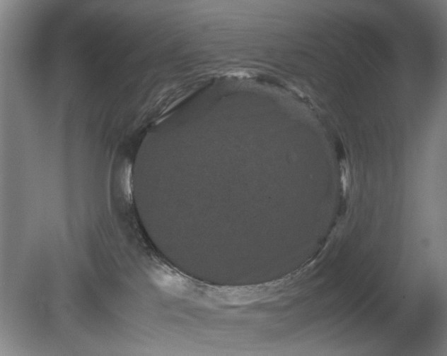 X0000078860041200611201325