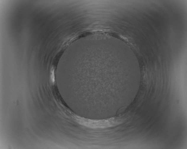 X0000078860042200611201325