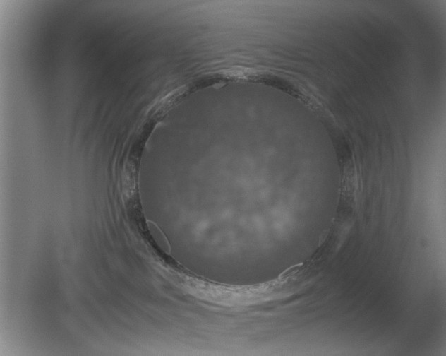 X0000078860043200611201325