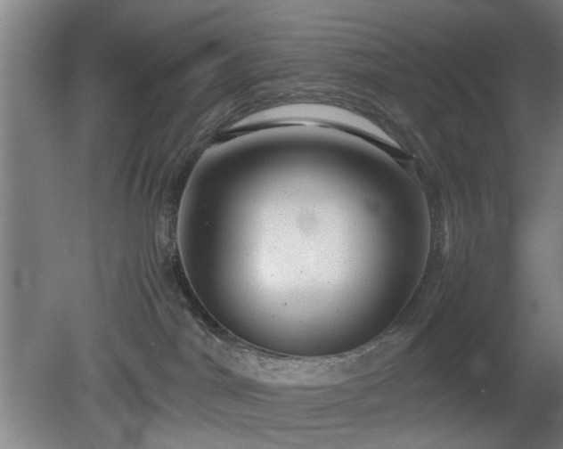 X0000078860044200611201325