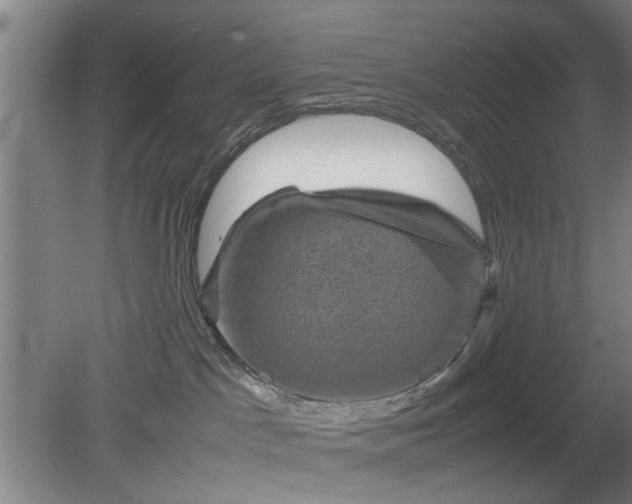 X0000078860045200611201325