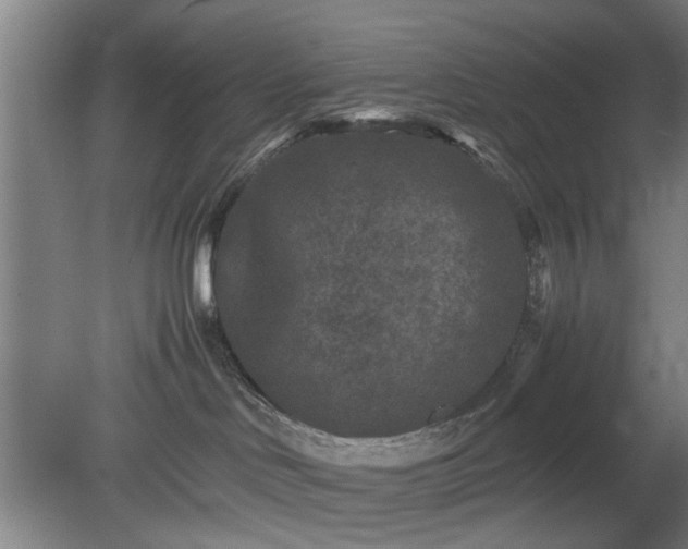 X0000078860046200611201325