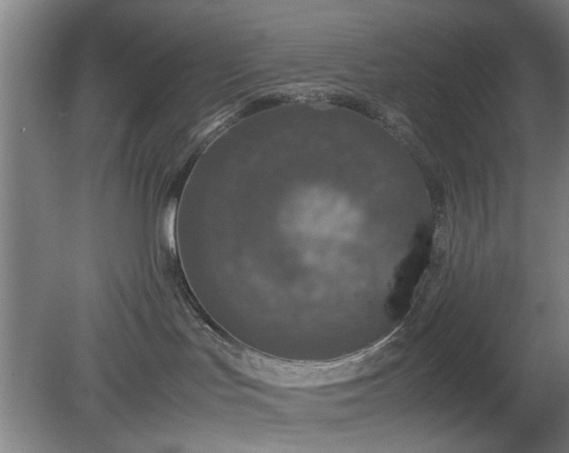 X0000078860047200611201325