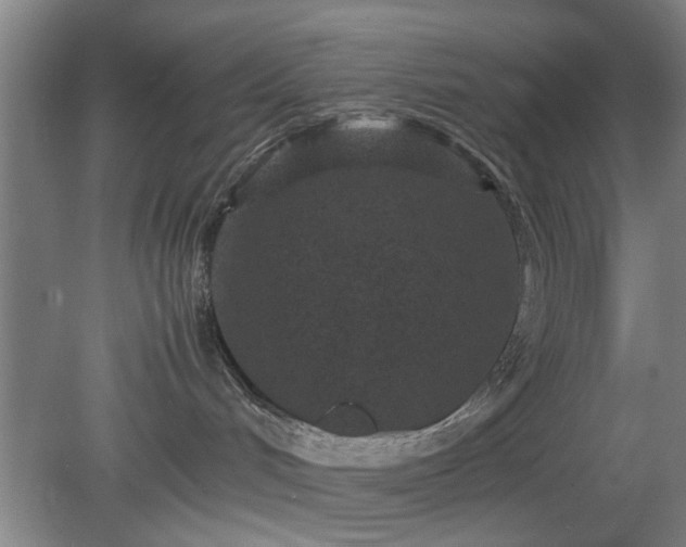 X0000078860048200611201325