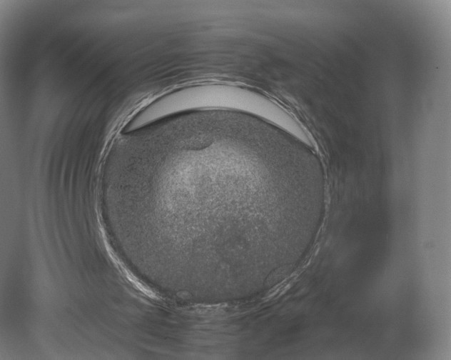 X0000078860049200611201324