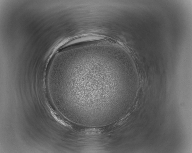 X0000078860050200611201324