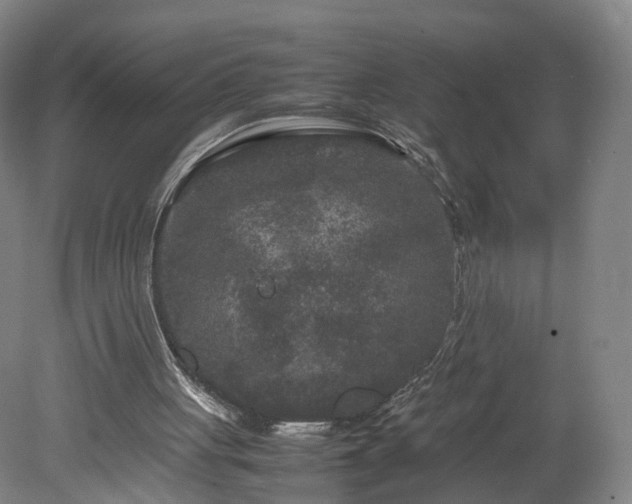 X0000078860051200611201324