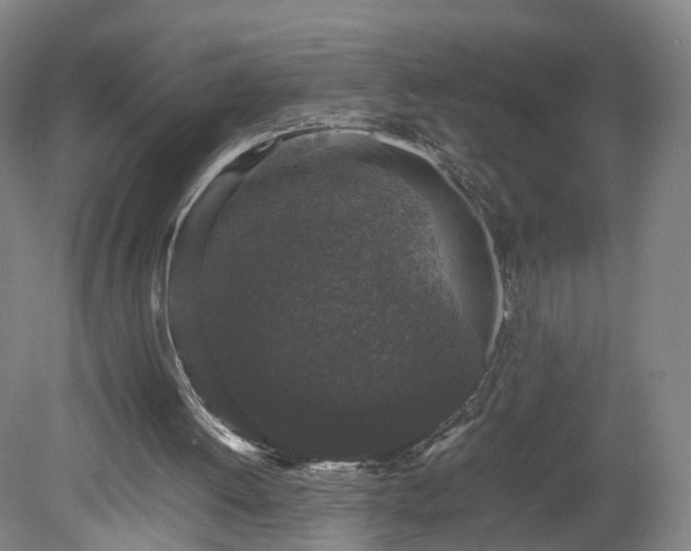 X0000078860052200611201324