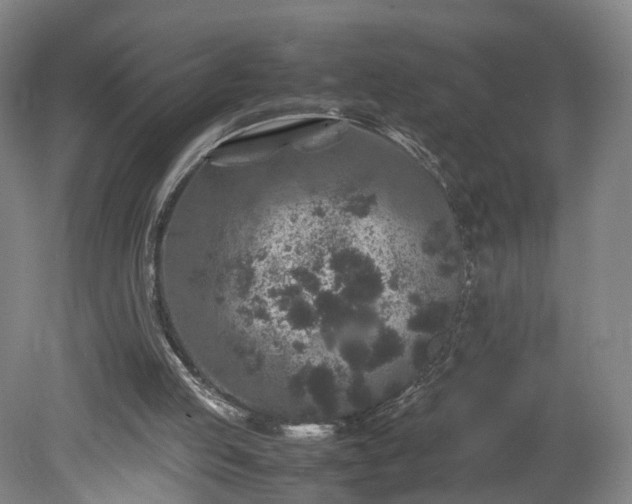 X0000078860053200611201324