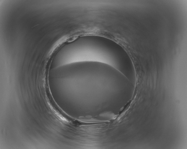 X0000078860054200611201324