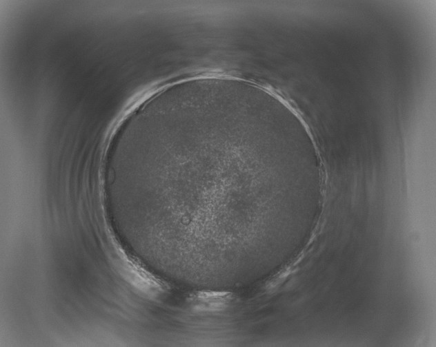 X0000078860055200611201324