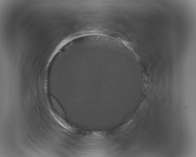 X0000078860056200611201324