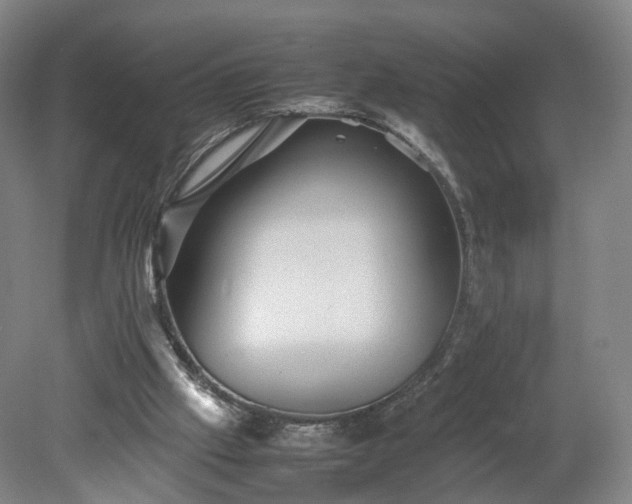 X0000078860057200611201324