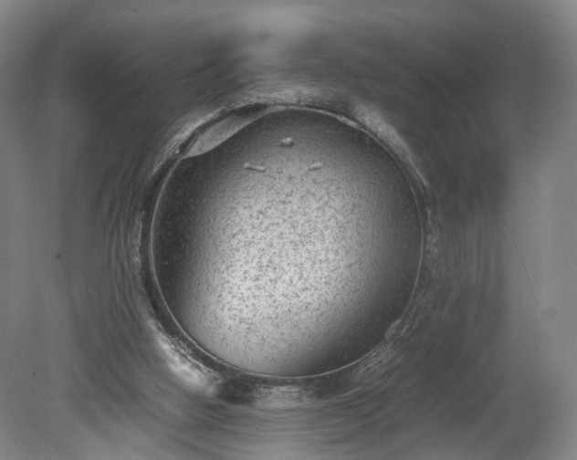 X0000078860058200611201324