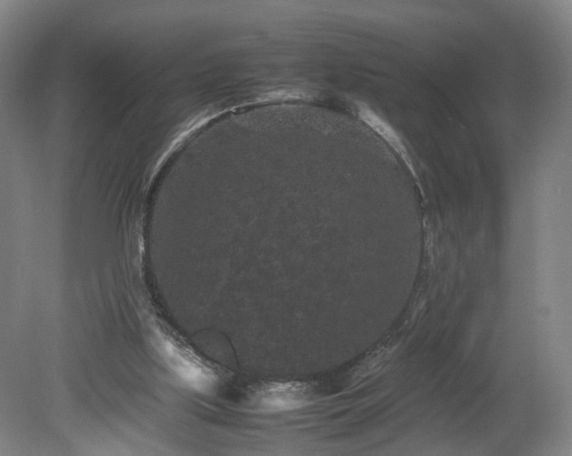 X0000078860059200611201324