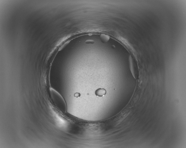 X0000078860060200611201324