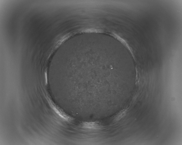 X0000078860061200611201324