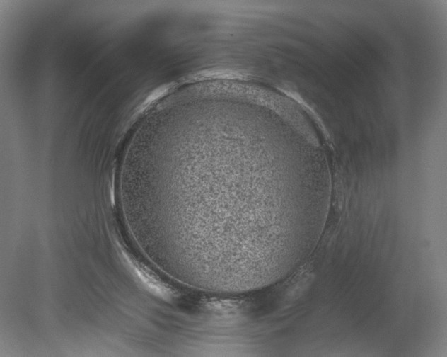 X0000078860062200611201324