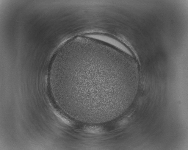 X0000078860063200611201324