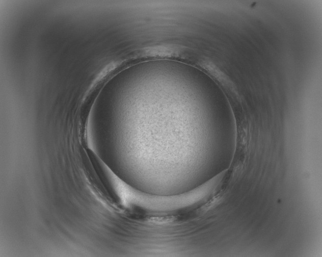 X0000078860064200611201324