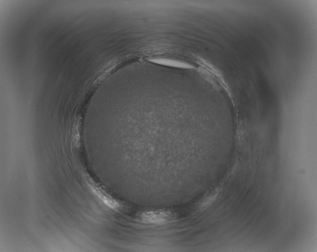 X0000078860065200611201324