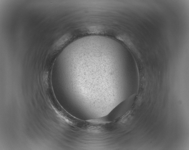 X0000078860066200611201324