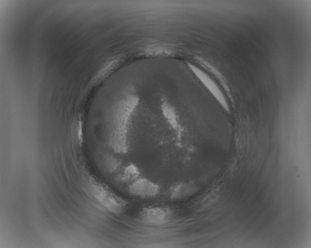 X0000078860067200611201324