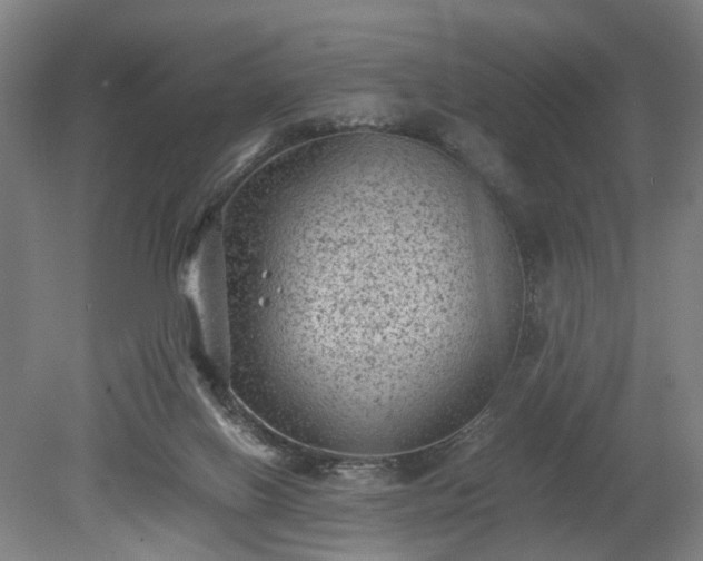 X0000078860070200611201324