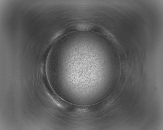 X0000078860071200611201324