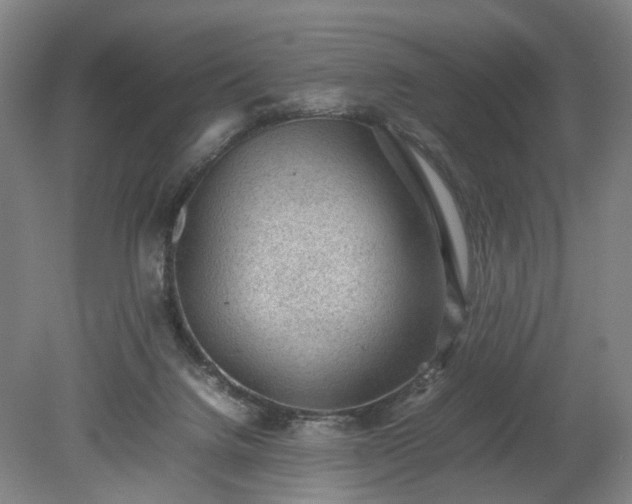 X0000078860072200611201324