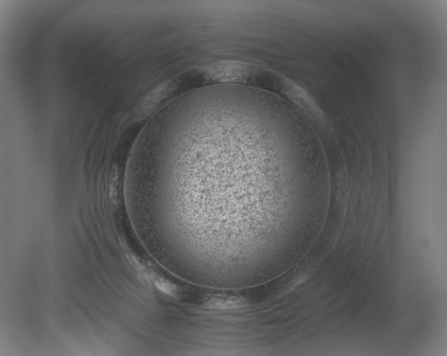 X0000078860073200611201324